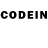 Галлюциногенные грибы GOLDEN TEACHER br00d