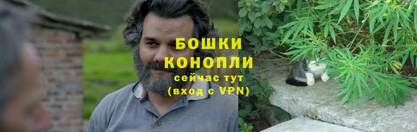 ПСИЛОЦИБИНОВЫЕ ГРИБЫ Балахна