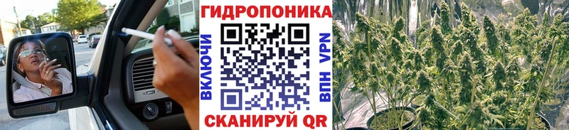 Каннабис сатива  продажа наркотиков  Богородск 